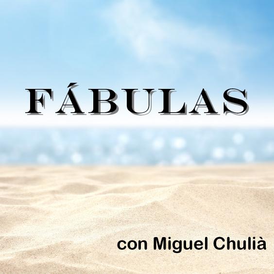 Imagen 11